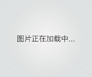 北海道犬饲养指南（做个负责任的北海道犬主人，从这里开始！）第1张